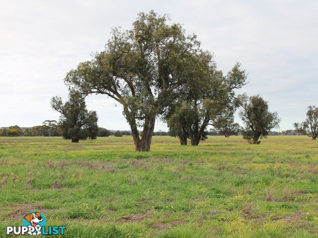 Lot 3 Yenyenning Lakes Road (Kokeby) BEVERLEY WA 6304