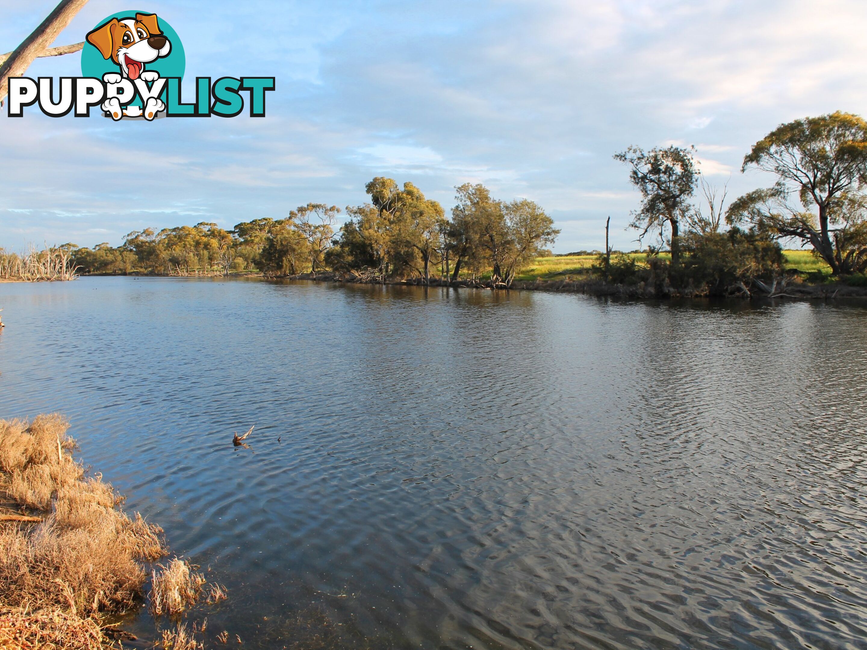 Lot 3 Yenyenning Lakes Road (Kokeby) BEVERLEY WA 6304