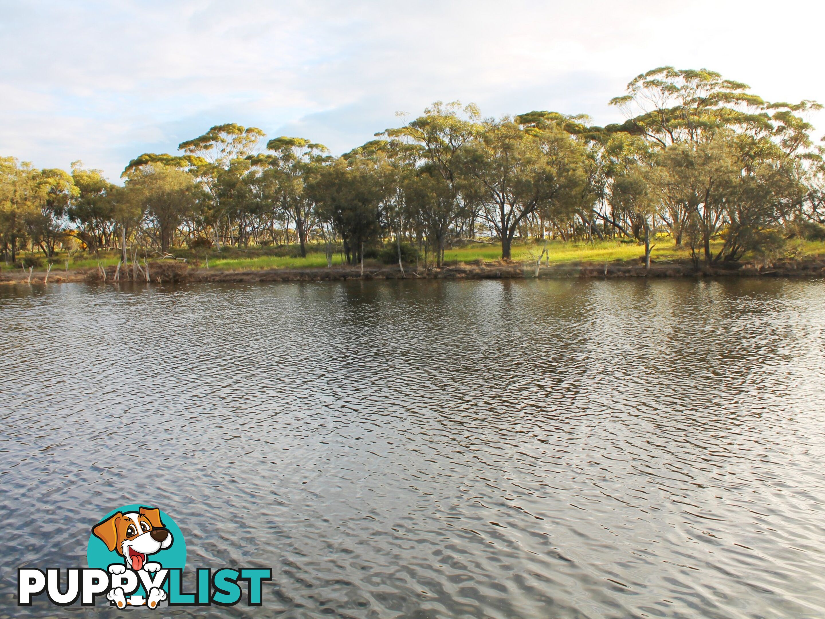 Lot 3 Yenyenning Lakes Road (Kokeby) BEVERLEY WA 6304