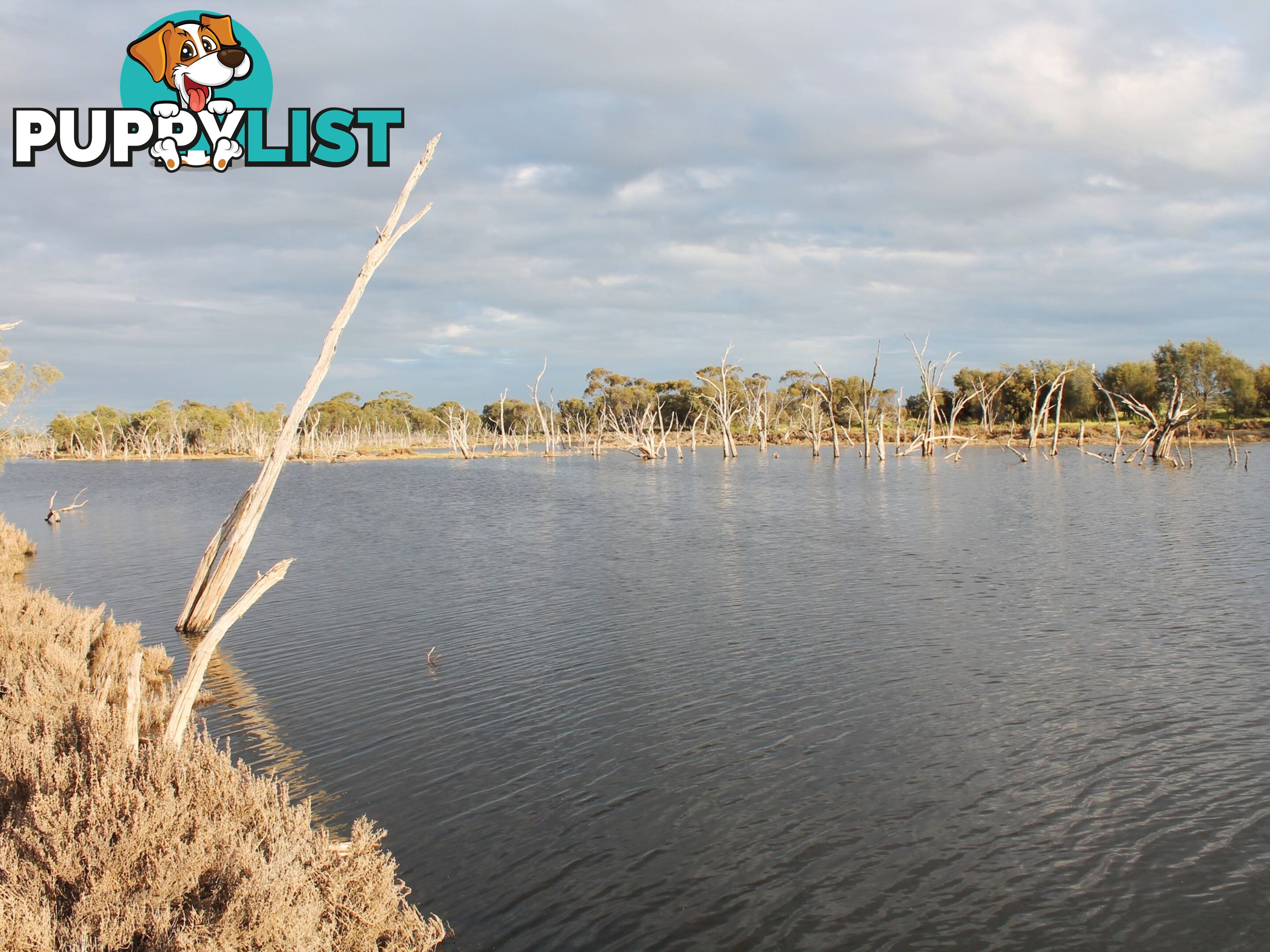 Lot 3 Yenyenning Lakes Road (Kokeby) BEVERLEY WA 6304