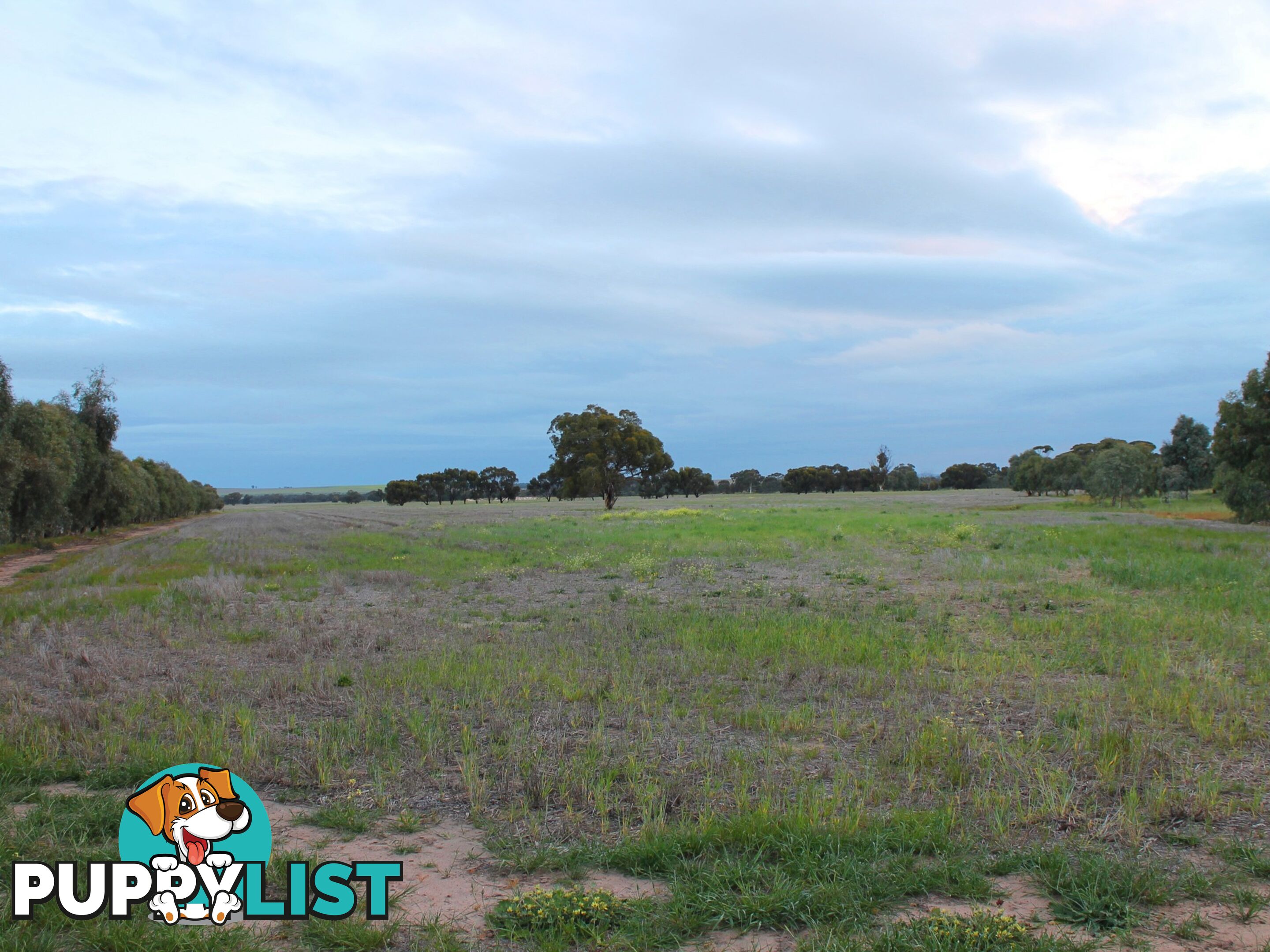 Lot 3 Yenyenning Lakes Road (Kokeby) BEVERLEY WA 6304