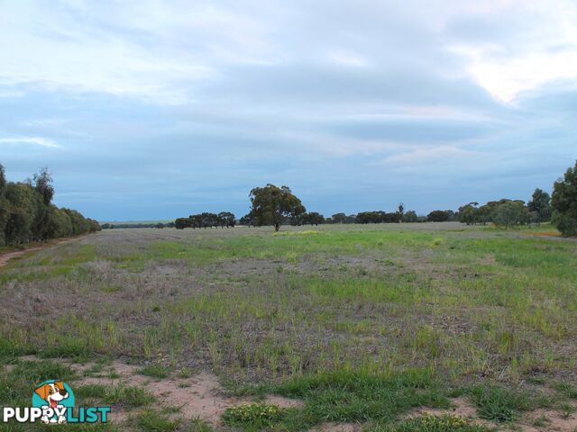 Lot 3 Yenyenning Lakes Road (Kokeby) BEVERLEY WA 6304