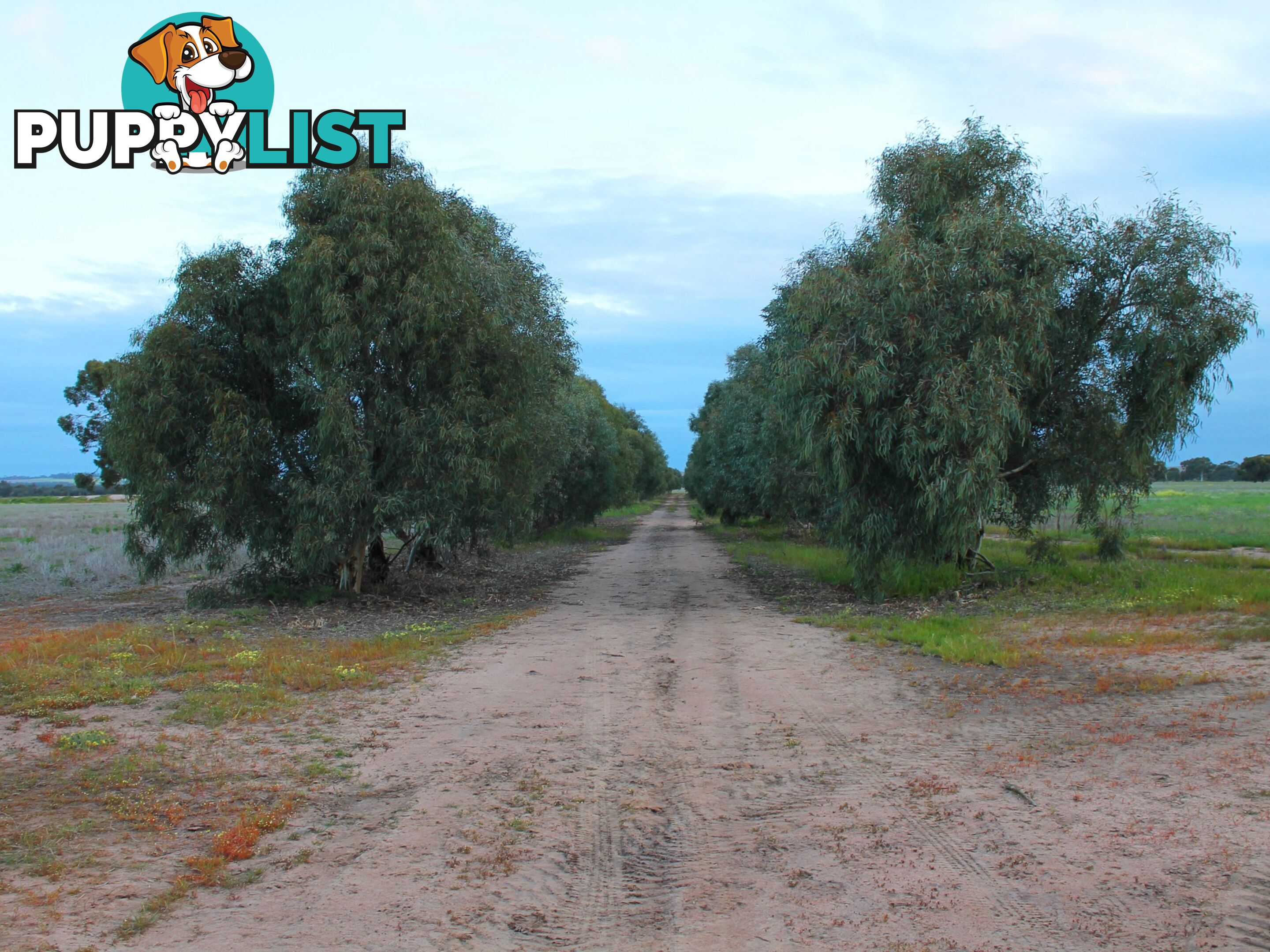 Lot 3 Yenyenning Lakes Road (Kokeby) BEVERLEY WA 6304