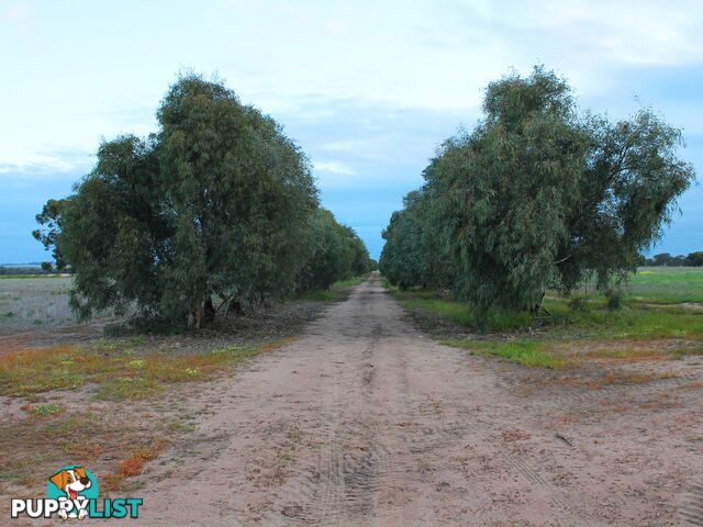 Lot 3 Yenyenning Lakes Road (Kokeby) BEVERLEY WA 6304