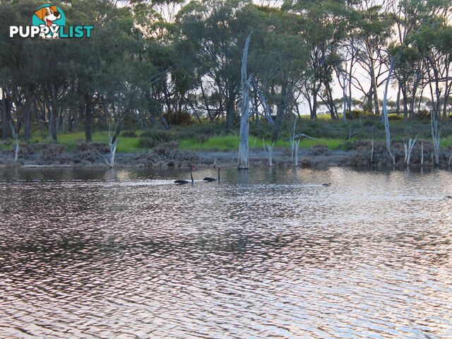 Lot 3 Yenyenning Lakes Road (Kokeby) BEVERLEY WA 6304