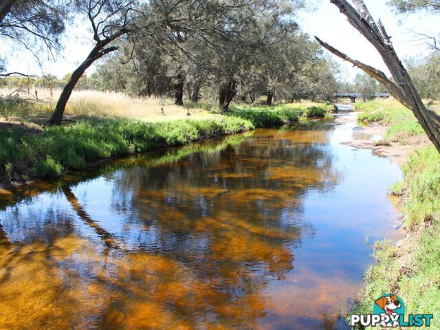 1101 Quellington Road (Caljie) YORK WA 6302