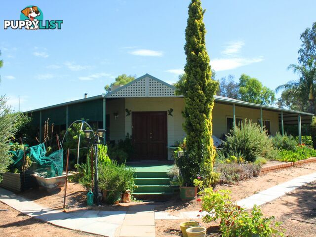 107 Newcastle Street YORK WA 6302