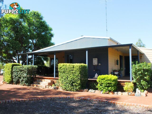 113 Newcastle Street YORK WA 6302