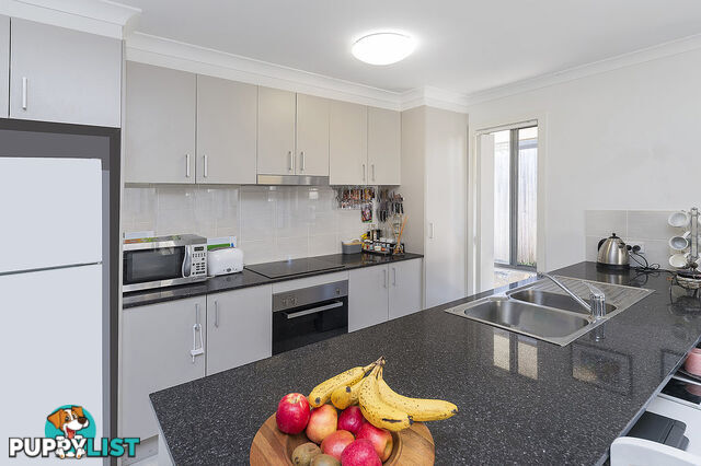 13 Venetian Way COOMERA QLD 4209