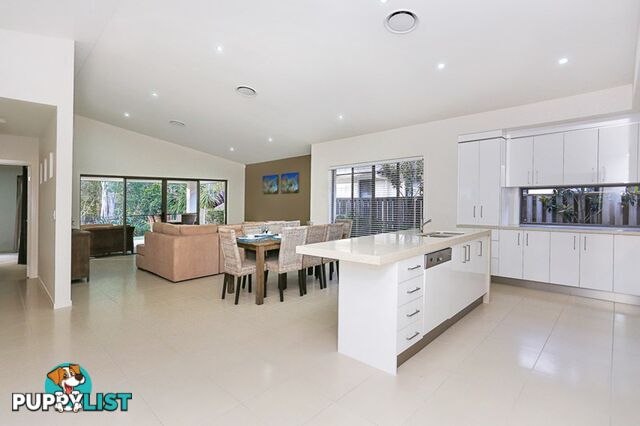 16 Bunderoo Circuit PIMPAMA QLD 4209