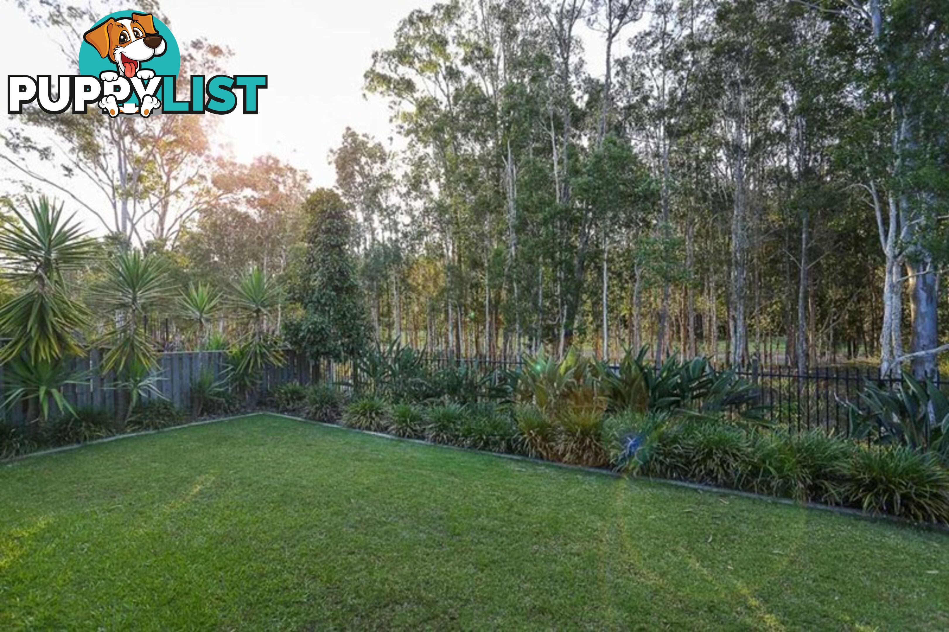 16 Bunderoo Circuit PIMPAMA QLD 4209