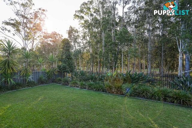 16 Bunderoo Circuit PIMPAMA QLD 4209