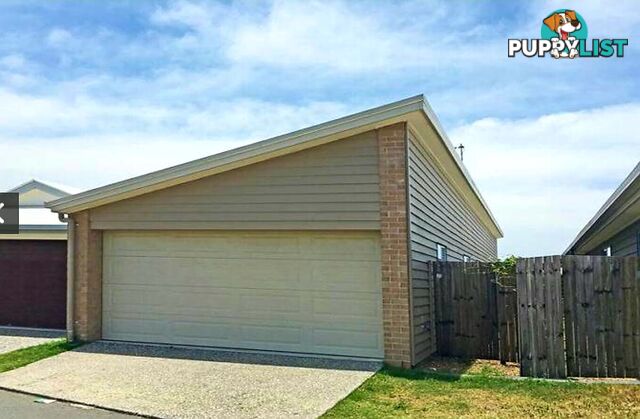 30 Carnarvon Court PIMPAMA QLD 4209