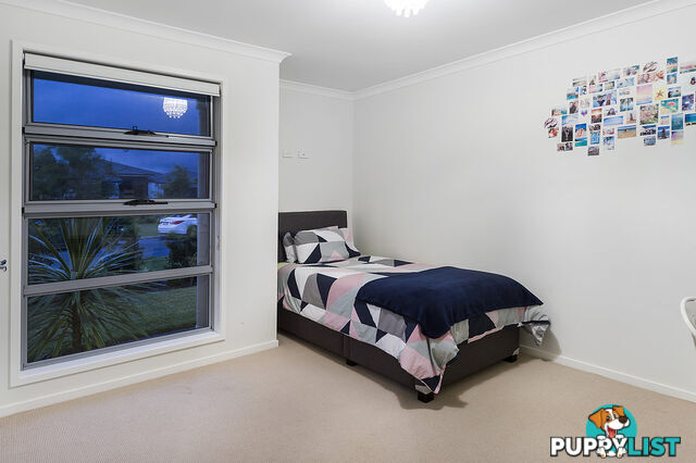 50 Ningaloo Drive PIMPAMA QLD 4209