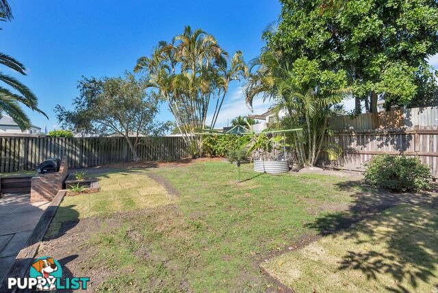 43 Tooraneedin Road COOMERA QLD 4209