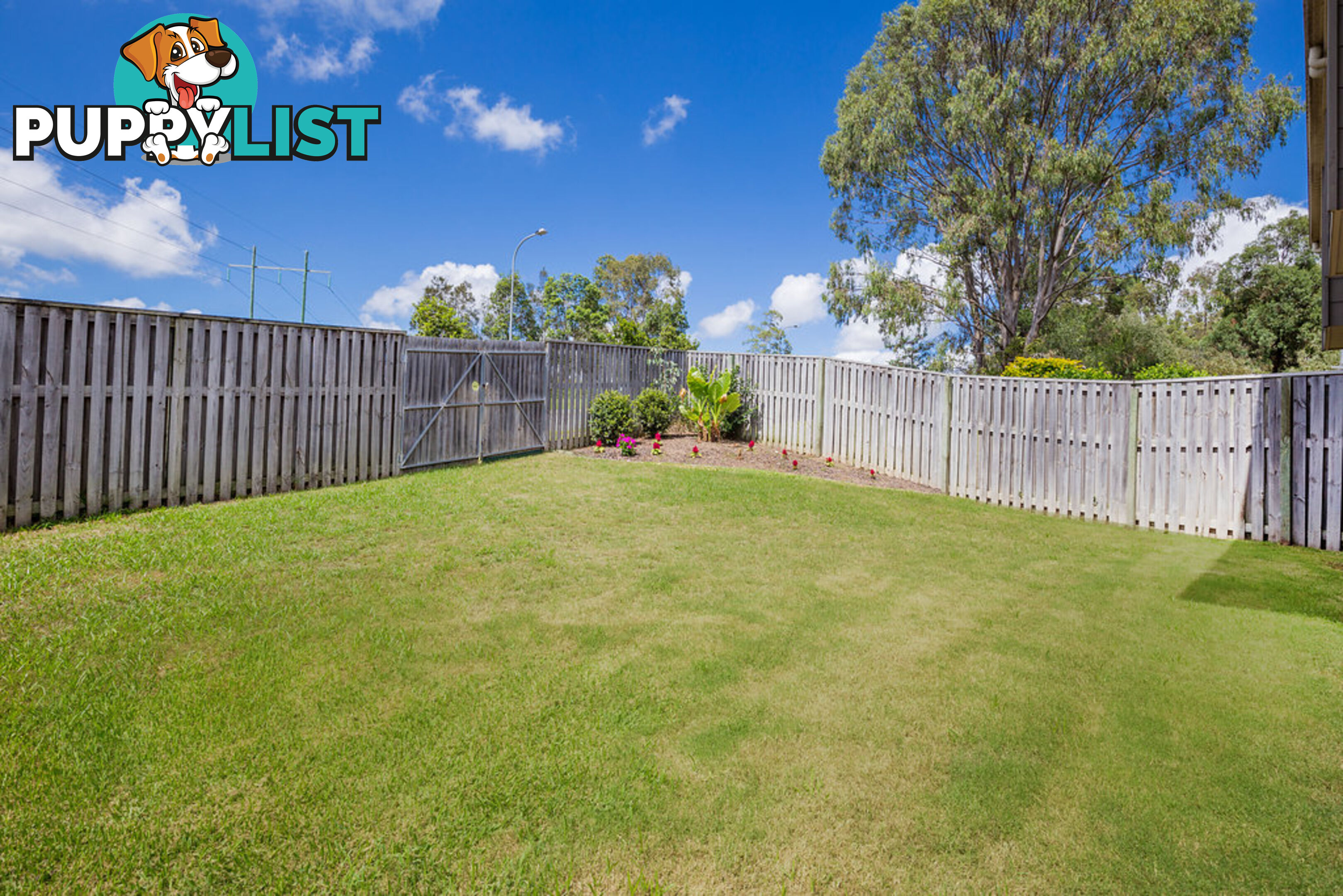 13 Amaray Drive UPPER COOMERA QLD 4209