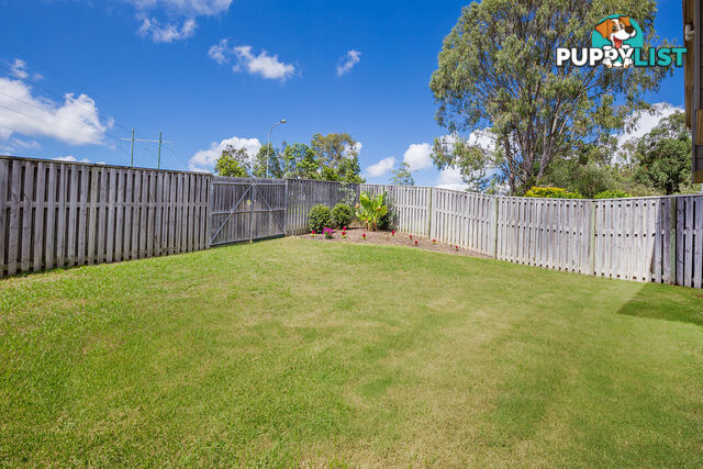 13 Amaray Drive UPPER COOMERA QLD 4209