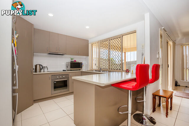 13 Amaray Drive UPPER COOMERA QLD 4209