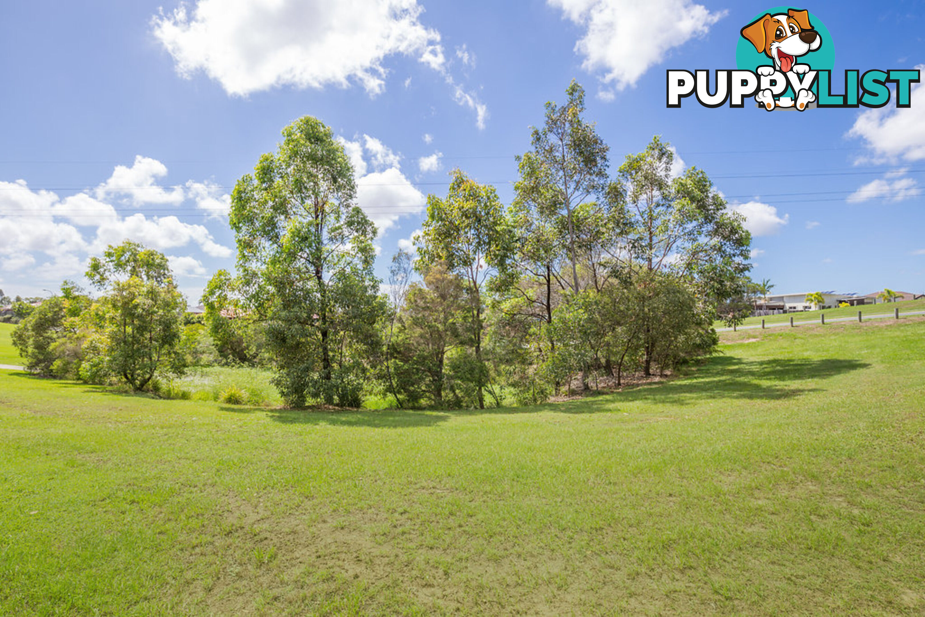 13 Amaray Drive UPPER COOMERA QLD 4209