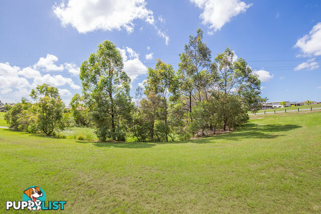 13 Amaray Drive UPPER COOMERA QLD 4209