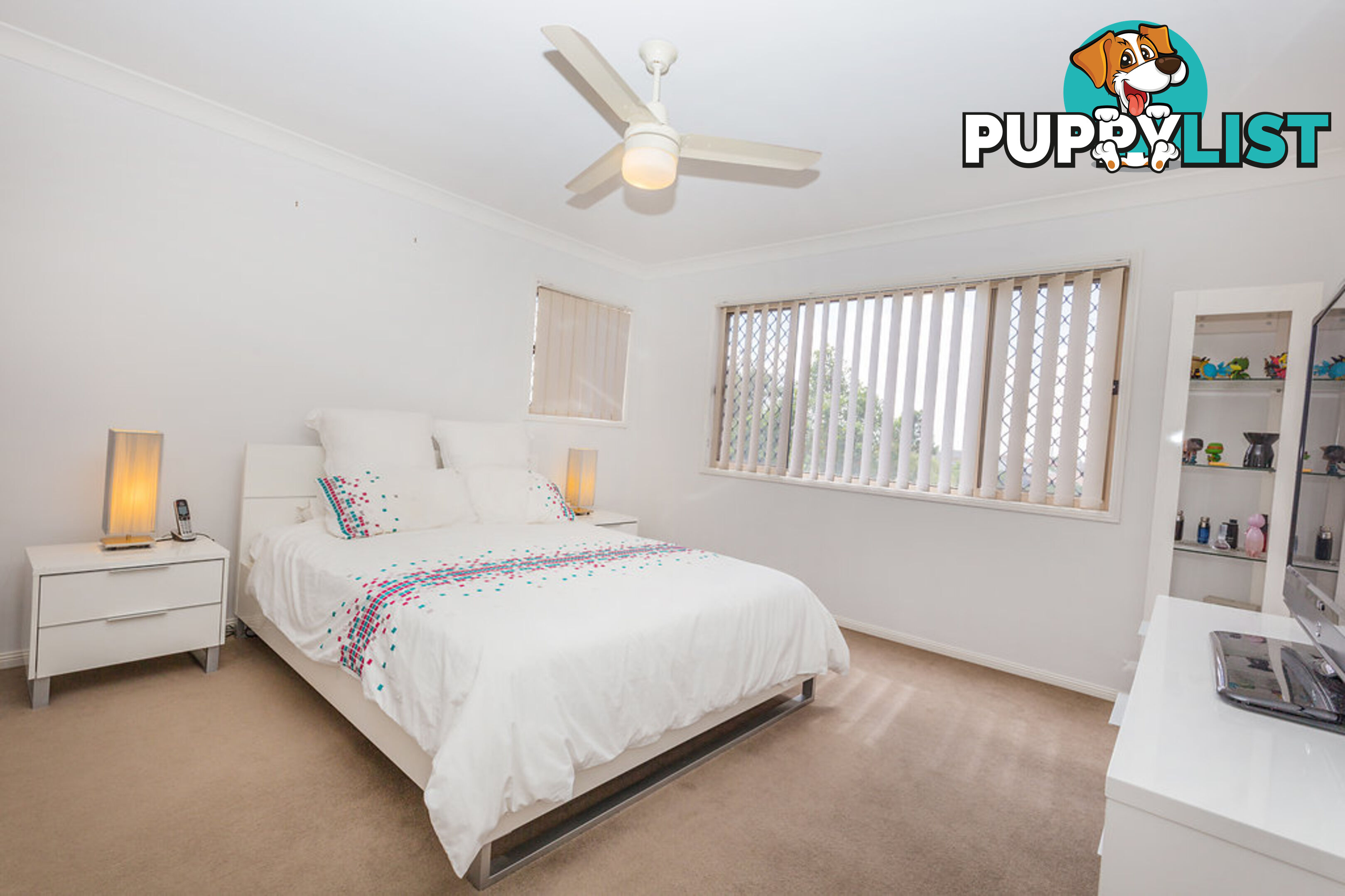 13 Amaray Drive UPPER COOMERA QLD 4209