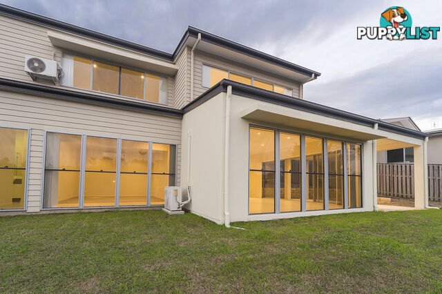 50 Candlebark Circuit UPPER COOMERA QLD 4209