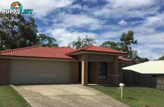 17 McWang Road PIMPAMA QLD 4209