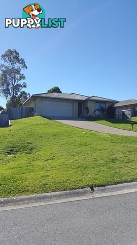 6 Hanover Drive PIMPAMA QLD 4209