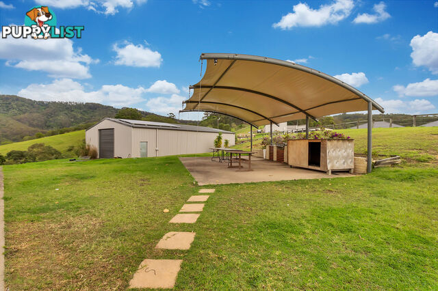 36 Ellen Grant Drive WILLOW VALE QLD 4209