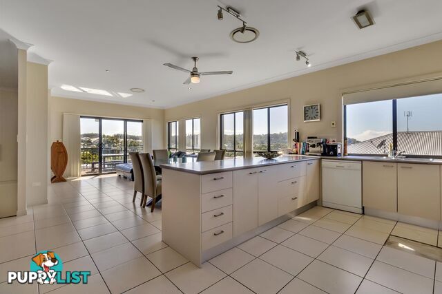 25 Heatherdale Street UPPER COOMERA QLD 4209