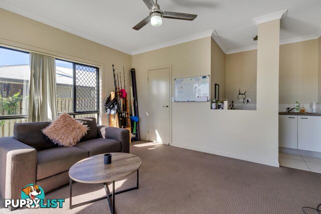 25 Heatherdale Street UPPER COOMERA QLD 4209