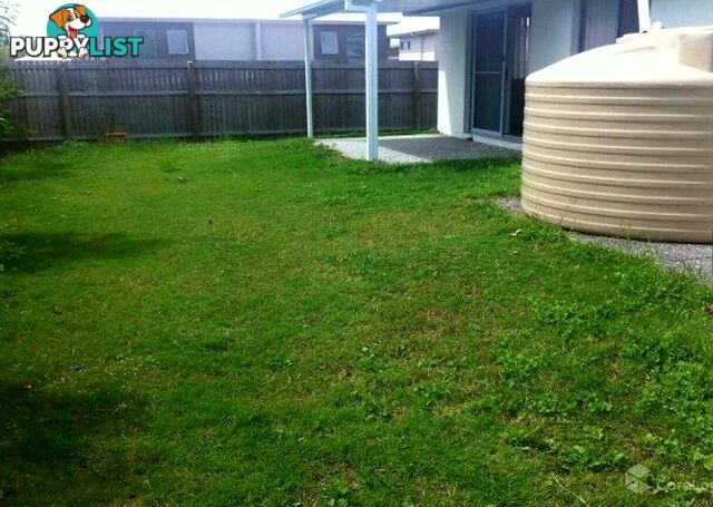 7 Benjamin Street PIMPAMA QLD 4209