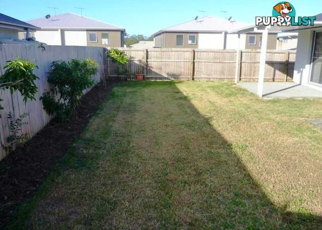 7 Benjamin Street PIMPAMA QLD 4209