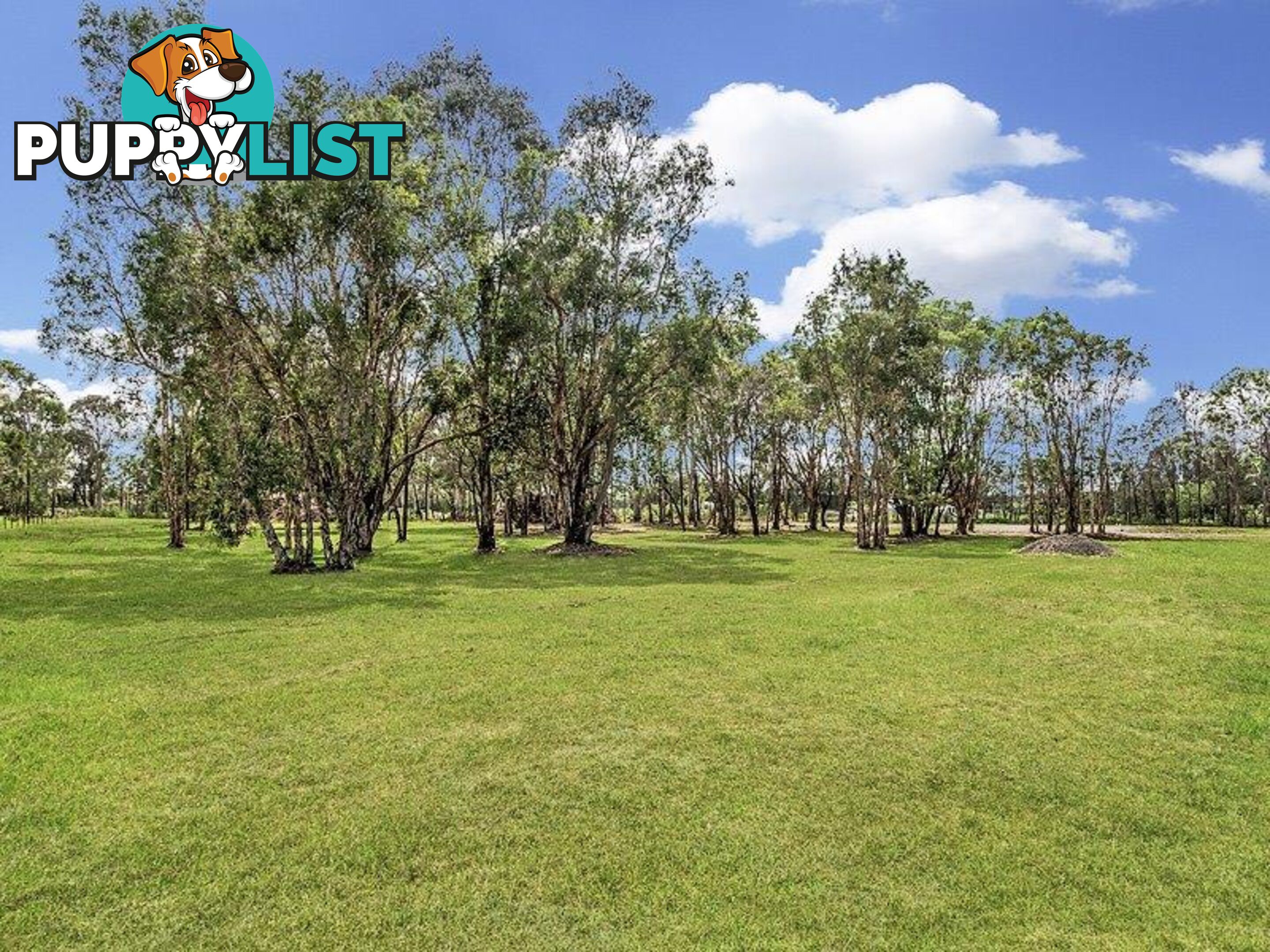 1717 Stapylton - Jacobs Well Road JACOBS WELL QLD 4208