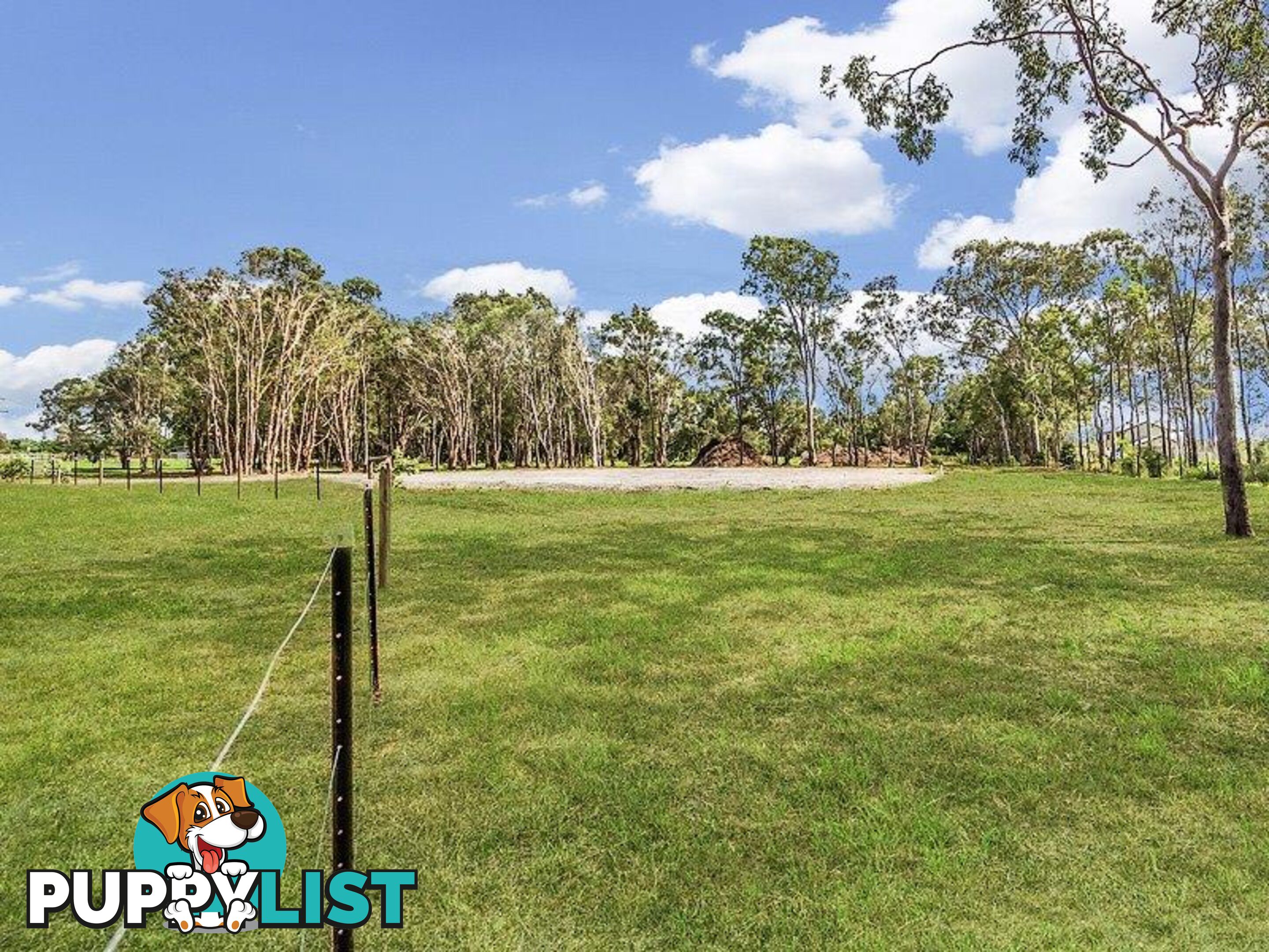 1717 Stapylton - Jacobs Well Road JACOBS WELL QLD 4208