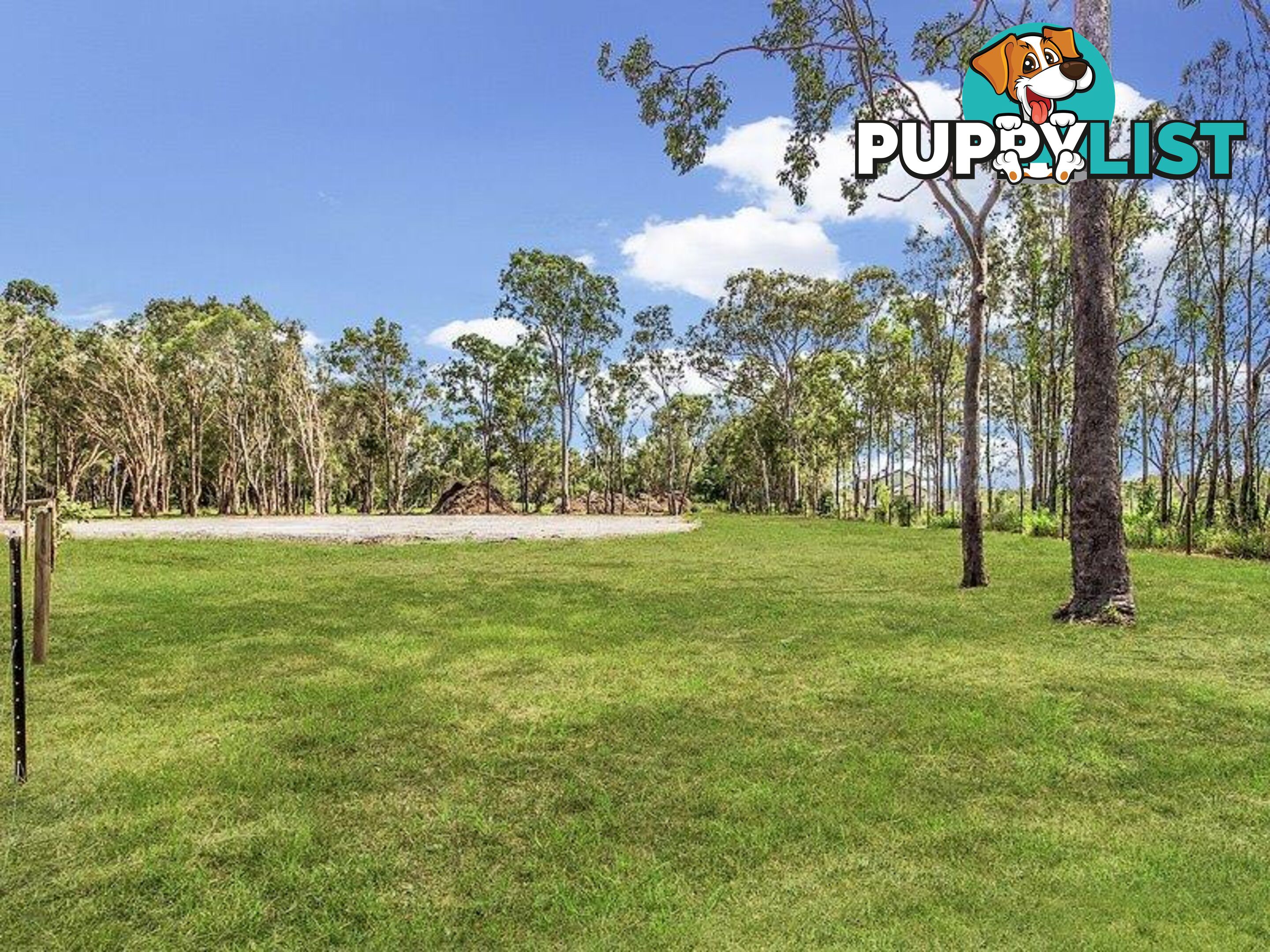 1717 Stapylton - Jacobs Well Road JACOBS WELL QLD 4208