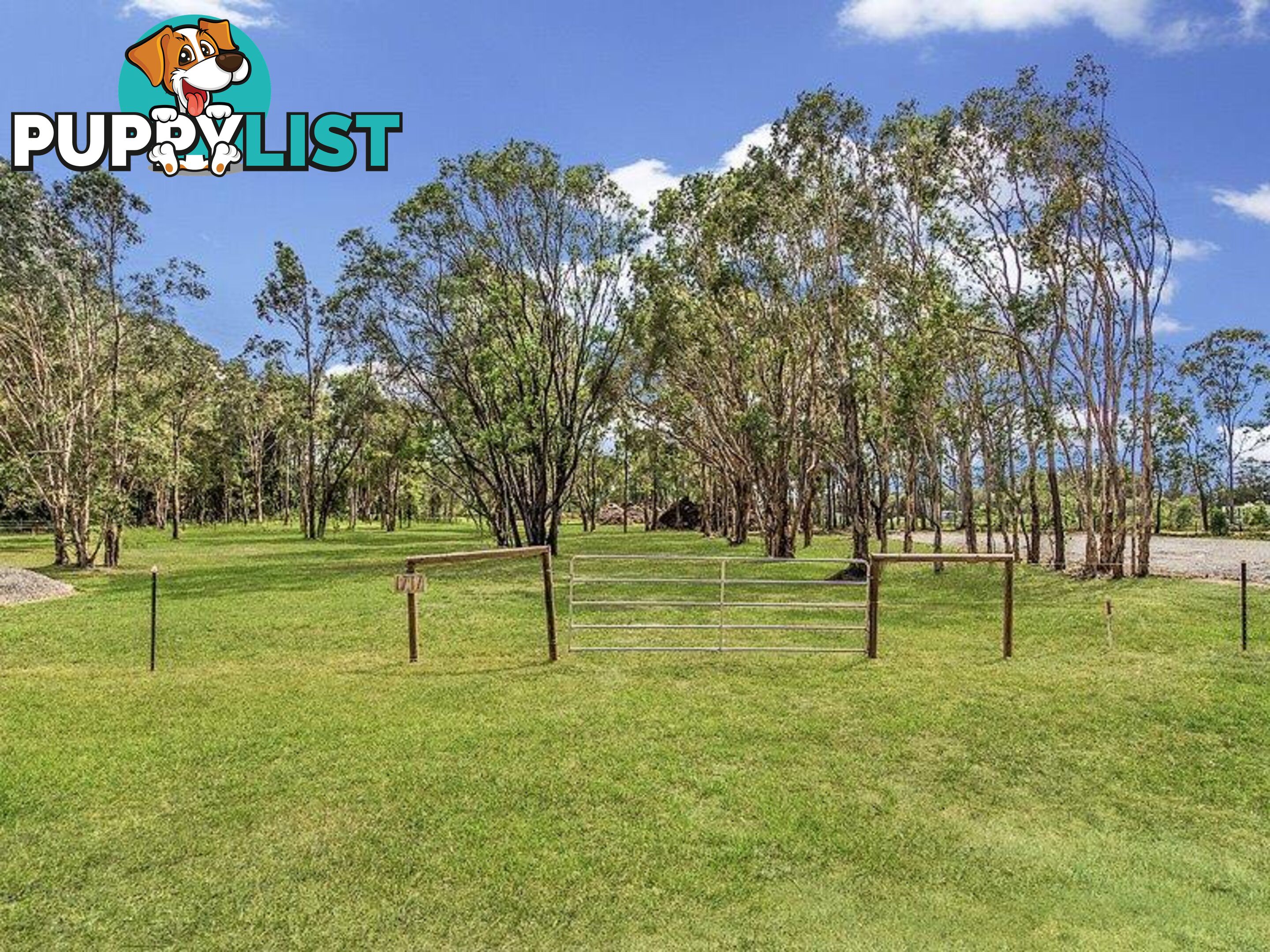 1717 Stapylton - Jacobs Well Road JACOBS WELL QLD 4208