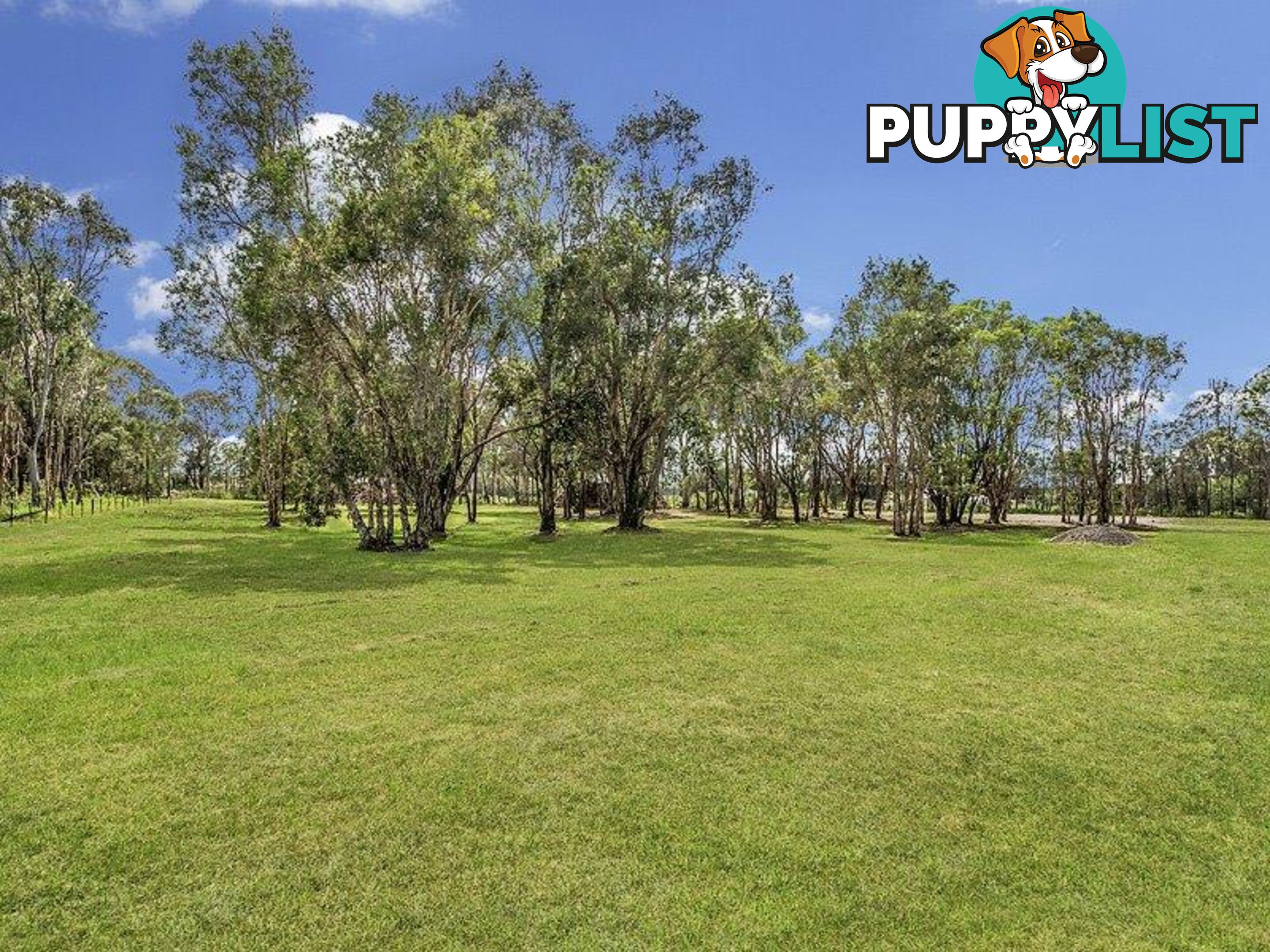 1717 Stapylton - Jacobs Well Road JACOBS WELL QLD 4208