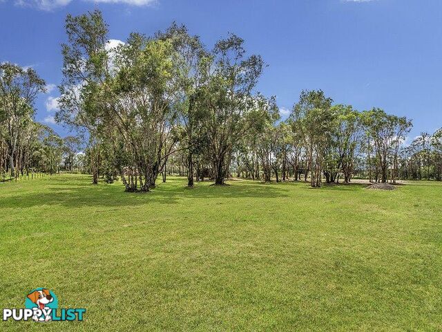 1717 Stapylton - Jacobs Well Road JACOBS WELL QLD 4208