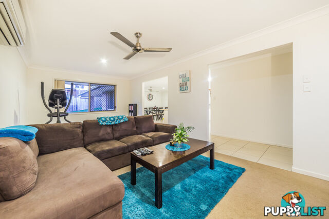 19 Manassa Street UPPER COOMERA QLD 4209