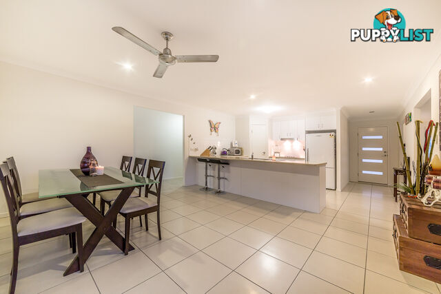 19 Manassa Street UPPER COOMERA QLD 4209