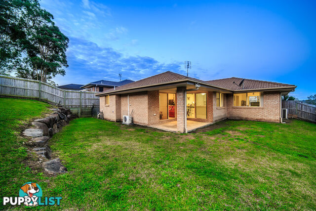 19 Manassa Street UPPER COOMERA QLD 4209