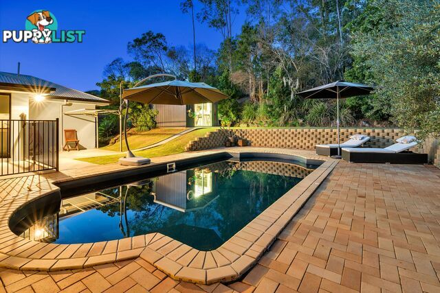 3 Gecko Crescent UPPER COOMERA QLD 4209