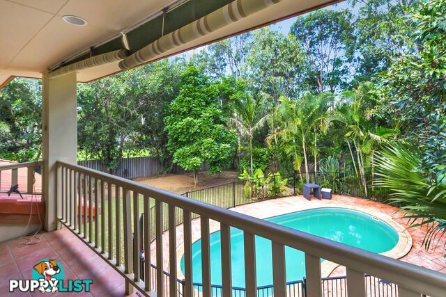 96 River Meadows Drive UPPER COOMERA QLD 4209