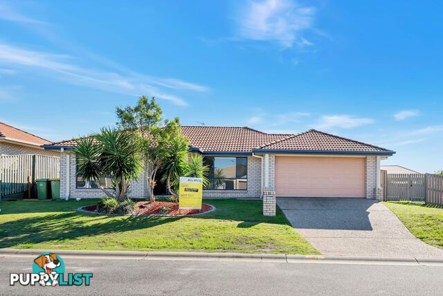 12 Diamond Sand Dr UPPER COOMERA QLD 4209