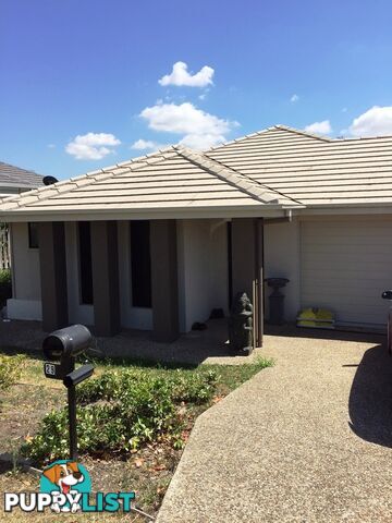 29 Conjola Crescent UPPER COOMERA QLD 4209