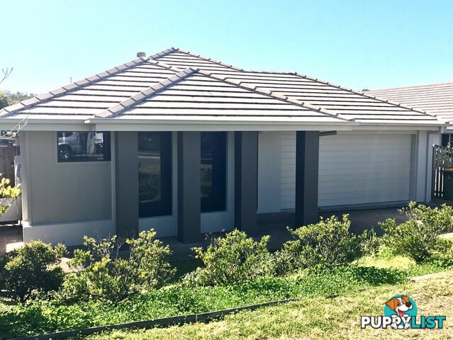 29 Conjola Crescent UPPER COOMERA QLD 4209