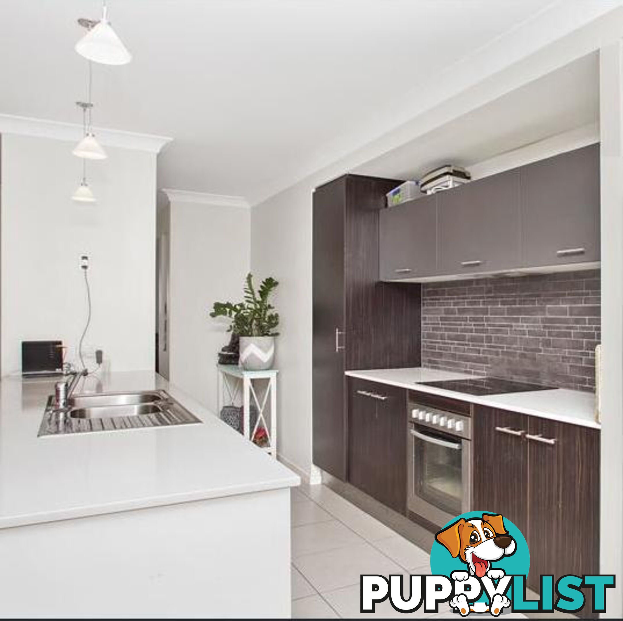 29 Conjola Crescent UPPER COOMERA QLD 4209