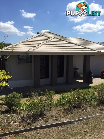 29 Conjola Crescent UPPER COOMERA QLD 4209