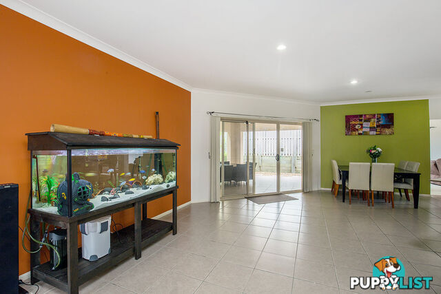 10 Redbay Street UPPER COOMERA QLD 4209